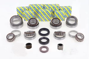 Renault Master/ Traffic PF6 Bearing kit with plastic cage gearbox bearings